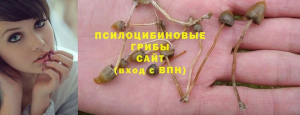 mdpv Баксан