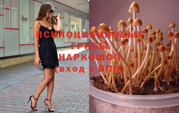 mdpv Баксан
