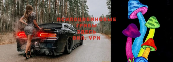 mdpv Баксан