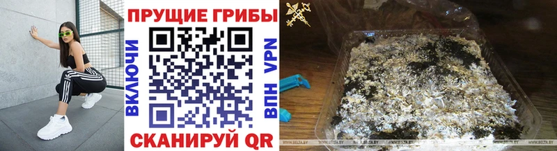Псилоцибиновые грибы прущие грибы Купить Нижний Ломов